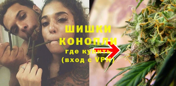 прущие грибы Абаза