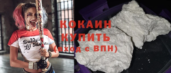 прущие грибы Абаза