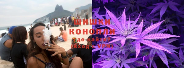 прущие грибы Абаза