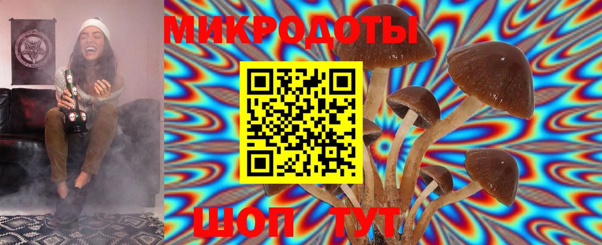 Псилоцибиновые грибы Cubensis  Вход с VPN  Балахна  Галлюциногенные грибы GOLDEN TEACHER 