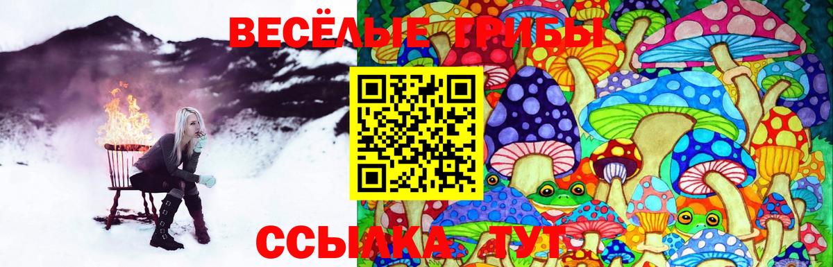 Псилоцибиновые грибы прущие грибы Балахна