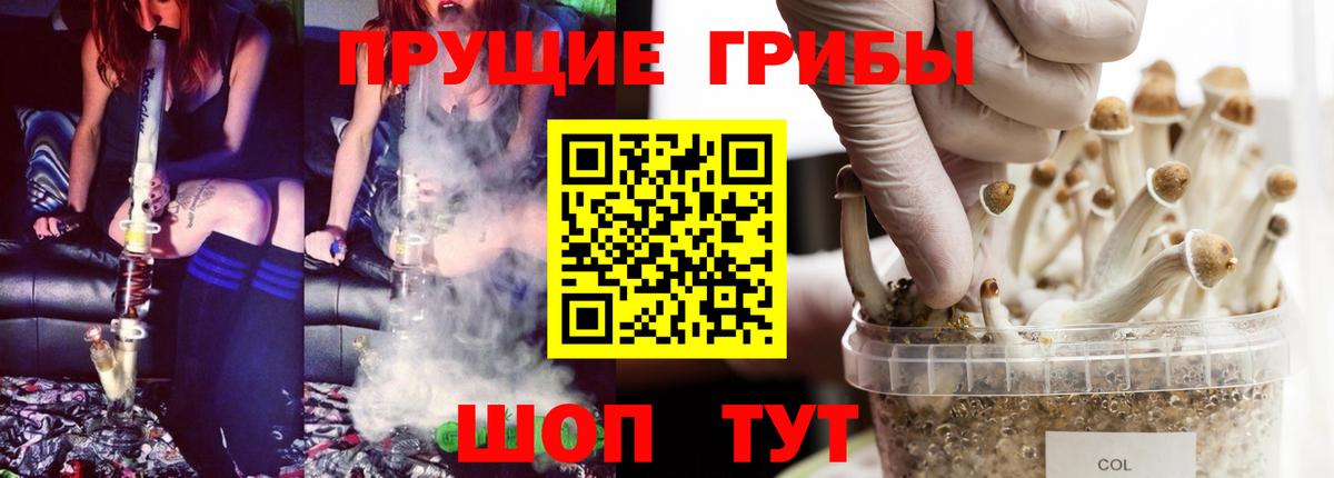 Балахна  наркошоп  Галлюциногенные грибы мухоморы  Вход с VPN  Псилоцибиновые грибы GOLDEN TEACHER 