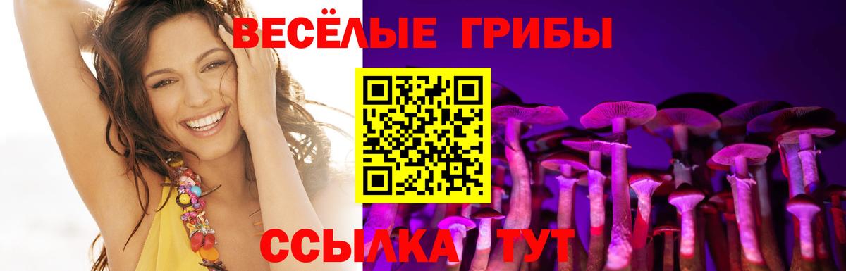 Псилоцибиновые грибы ЛСД Балахна