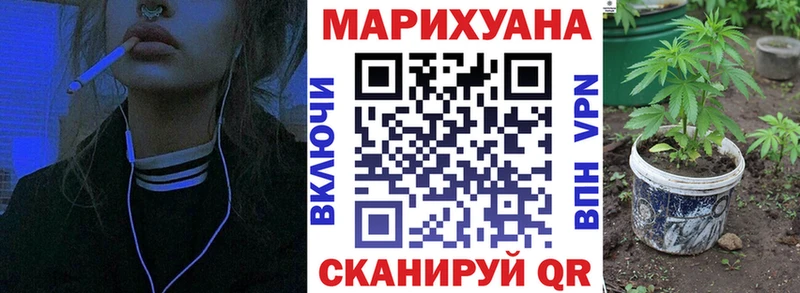 Бошки Шишки Amnesia  Балахна 